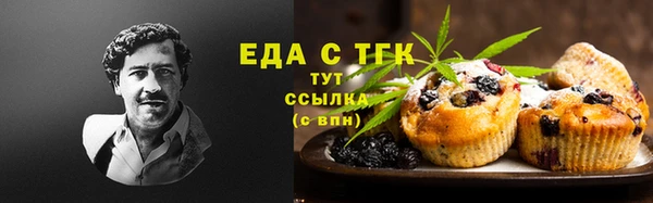 гидра Арсеньев