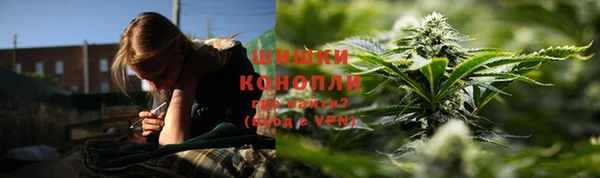 гидра Арсеньев
