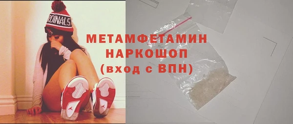 гидра Арсеньев
