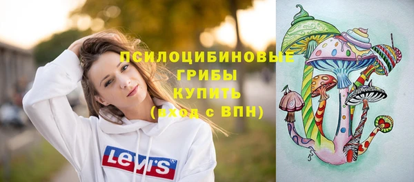гидра Арсеньев