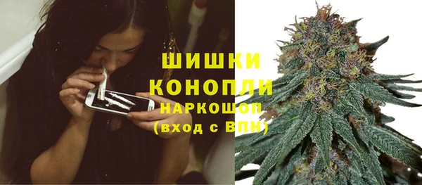 PSILOCYBIN Армянск