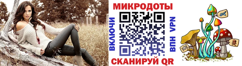 Псилоцибиновые грибы Psilocybine cubensis  купить  цена  Темников 